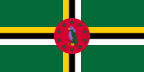 DM flag