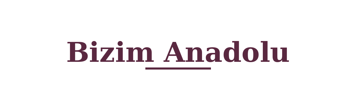 Bizim Anadolu logo