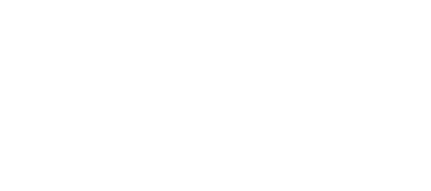 Blenheim News-Tribune logo