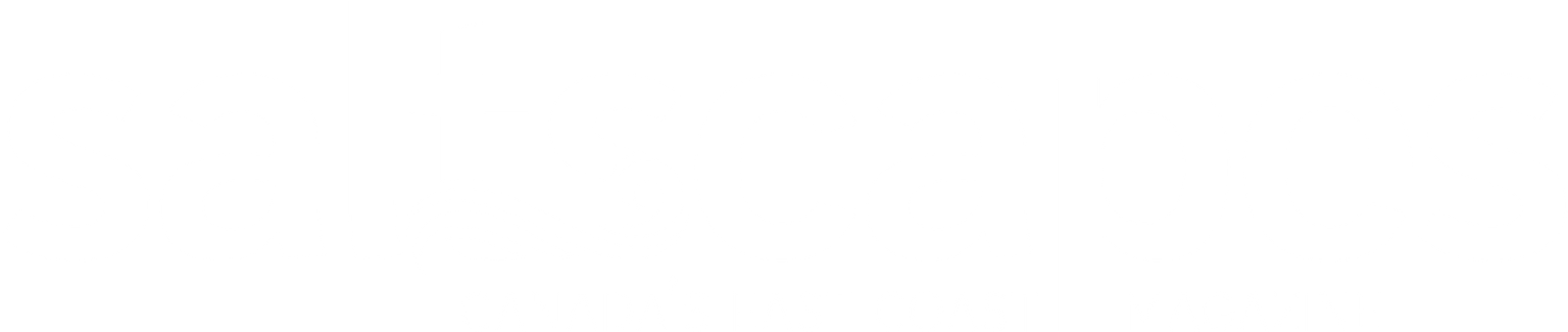 Saltscapes logo