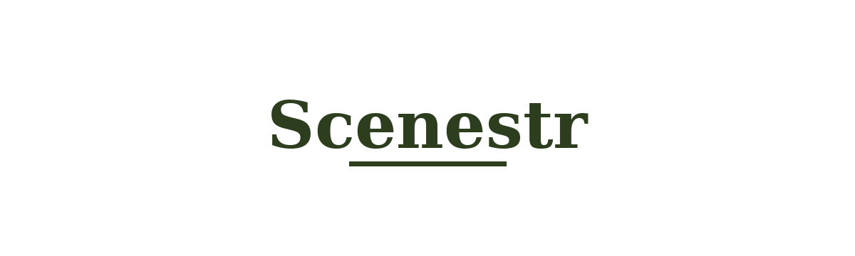 Scenestr logo