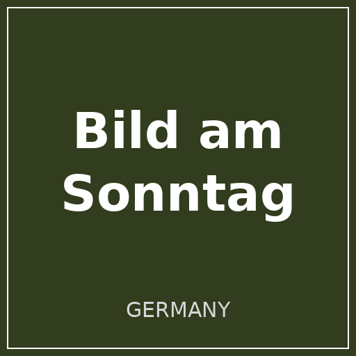 Bild am Sonntag logo