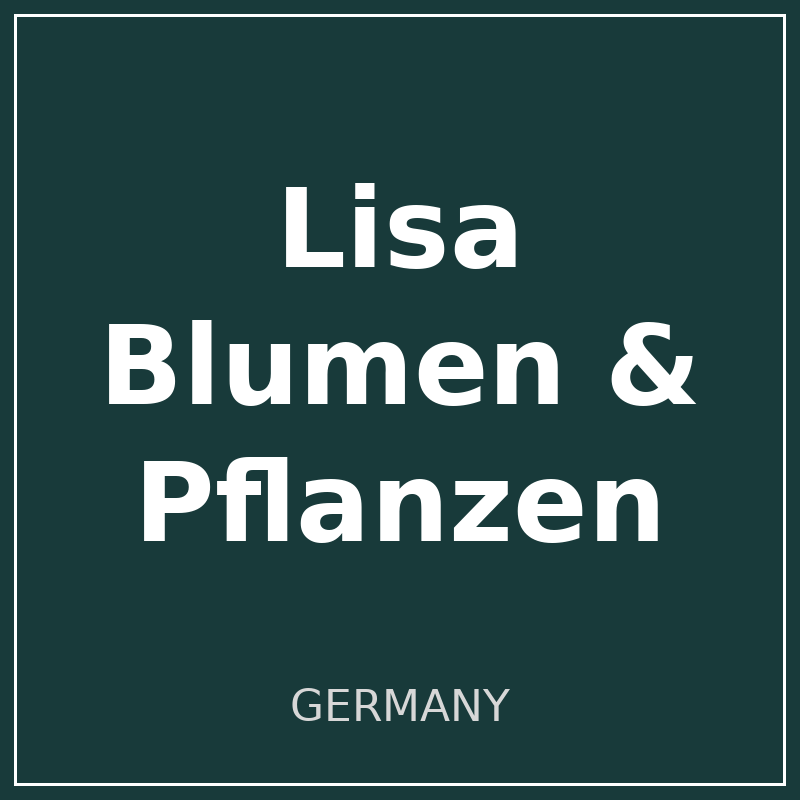 Lisa Blumen & Pflanzen logo