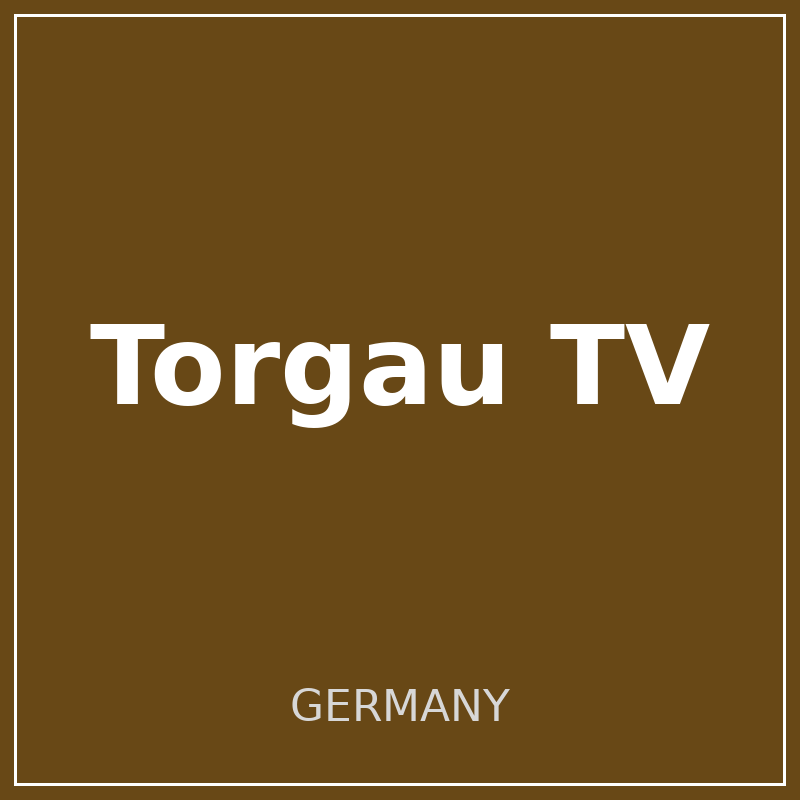 Torgau TV logo